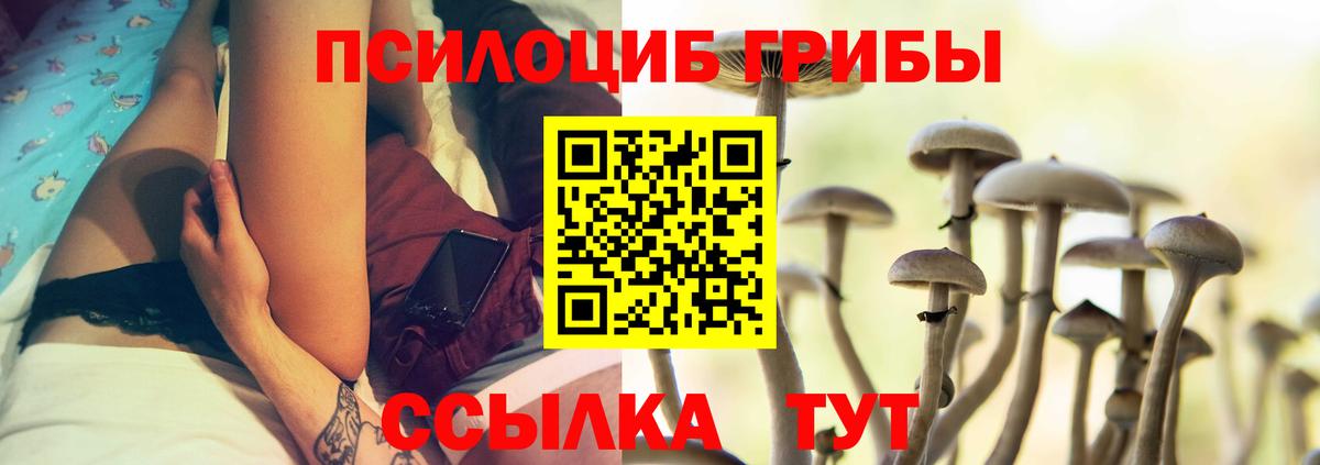 Псилоцибиновые грибы Psilocybine cubensis  купить закладку  Северобайкальск  Вход с VPN 